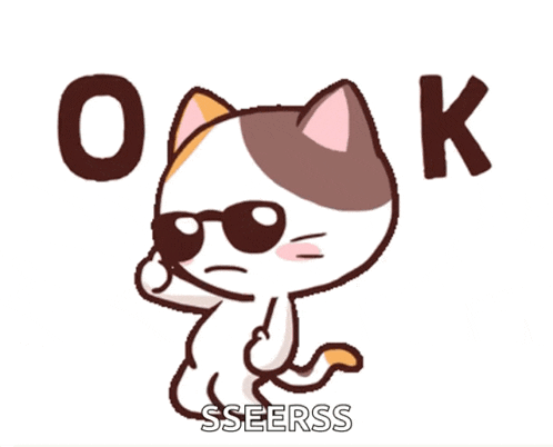 Cool Ok GIF
