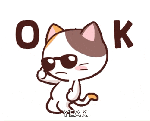 Cool Ok GIF