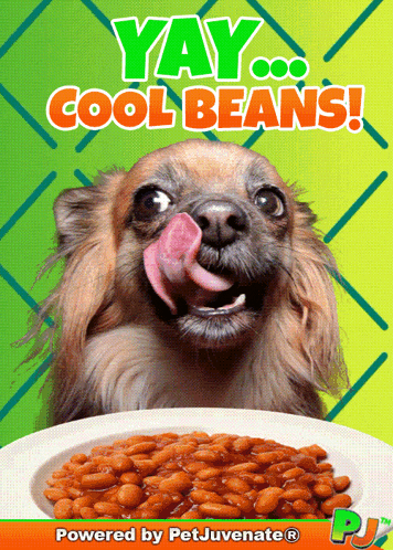 Cool Yay Cool Beans GIF
