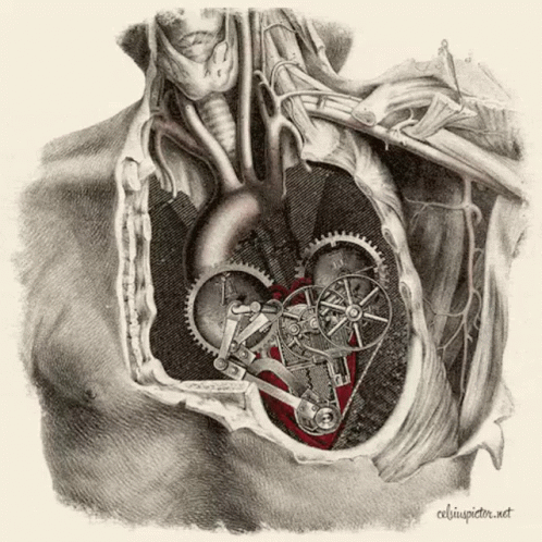 Corazon Heart GIF