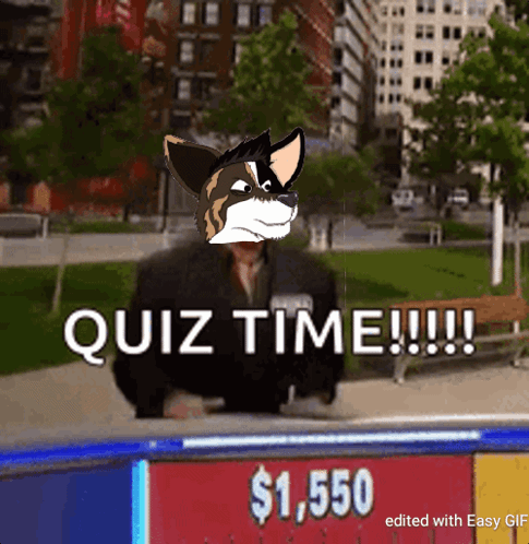 Corgi Corgigang GIF. This 485 x 498 animated GIF is part of our quiz time collection. Related themes include happy. Created by corgiVET. View the original…