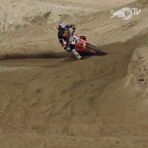 Cornering Red Bull GIF