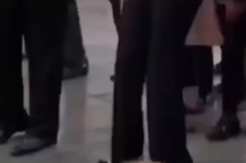 Coroca Dancing GIF. This 498 x 331 animated GIF is part of our theresa may laughing collection. Related themes include dancing. Created by Coroca. View the…