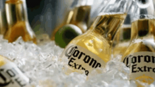 Corona Beer GIF. This 498 x 280 animated GIF is part of our cerveza corona collection. Related themes include beer. Created by MissElSalvador. View the…