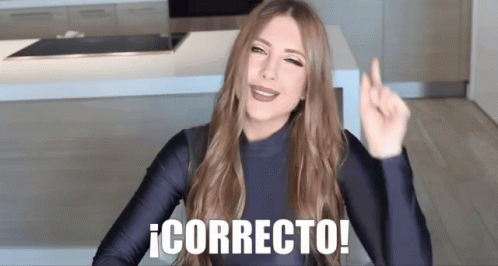 Correcto Bien GIF