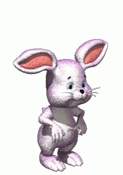Coucou Rabbit GIF
