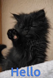 Coucou Toi Hello GIF