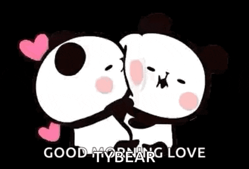 Couples Panda GIF