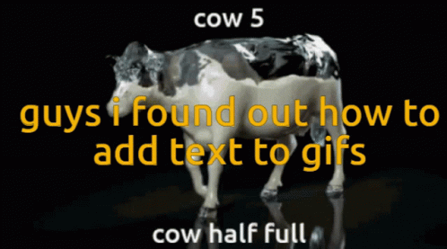 Cow Cow Half Full GIF. This 498 x 277 animated GIF is part of our cow milk collection. Related themes include cow. Created by OddishThoughts. View the…