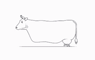 Cow Cowboy GIF