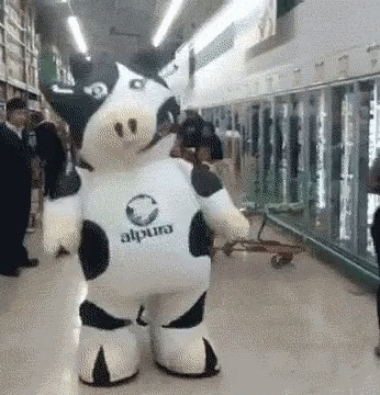 Cow Dance GIF