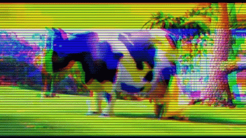 Cow Milk GIF. This 480 x 270 animated GIF is part of our cow milk collection. Related themes include cow. Created by PrettyEpic. View the original…