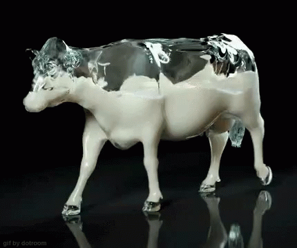 Cow Milk GIF. This 430 x 360 animated GIF is part of our cow milk collection. Related themes include cow. View the original animation, share it, or browse…