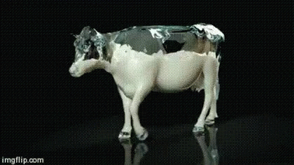 Cow Milk GIF. This 420 x 236 animated GIF is part of our cow milk collection. Related themes include cow. View the original animation, share it, or browse…