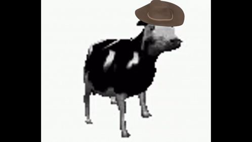 Cowcowwest GIF