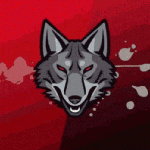 Coyote Crownaco GIF