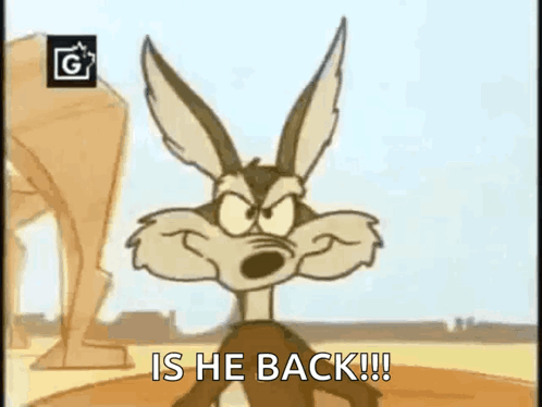 Coyote GIF