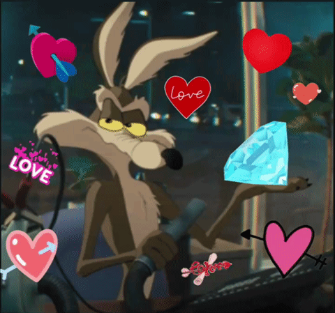 Coyotevacme2026 Coyotes GIF