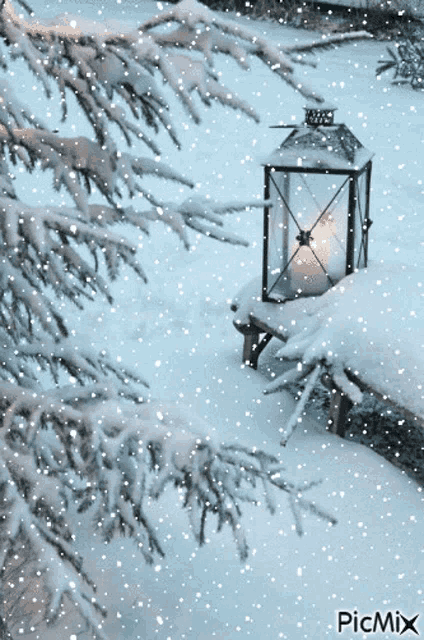Cozy Night GIF