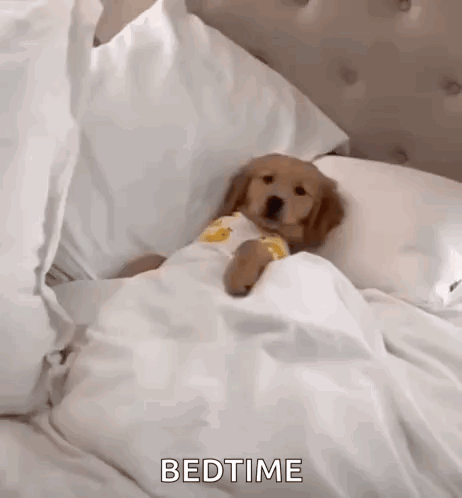 Cozy Warm And Cozy GIF