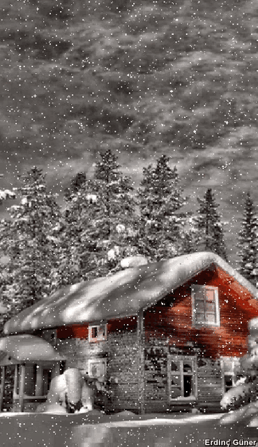 Cozy Winter GIF