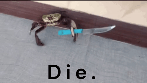Crab GIF