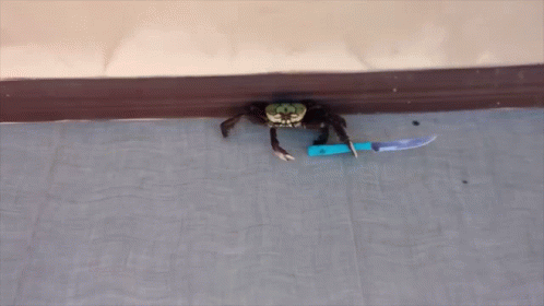 Crab Knife GIF