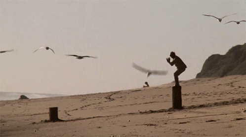 Crane Technique Mr Miyagi GIF