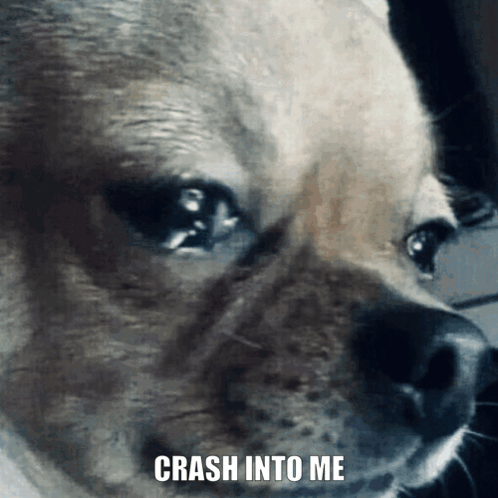 Crash Gif GIF