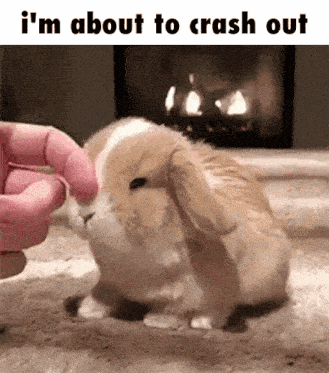 Crash Out GIF