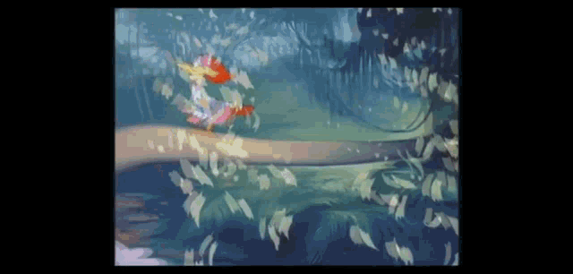 Crazy Aracuan GIF