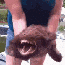 Crazy Brown GIF
