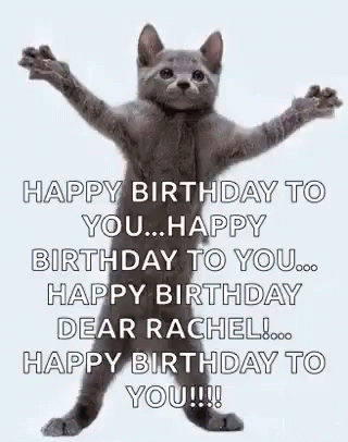 Crazy Cat Happy Birthday To You GIF. This 320 x 406 animated GIF is part of our geburtstag katzen collection. Related themes include celebrate, happy…