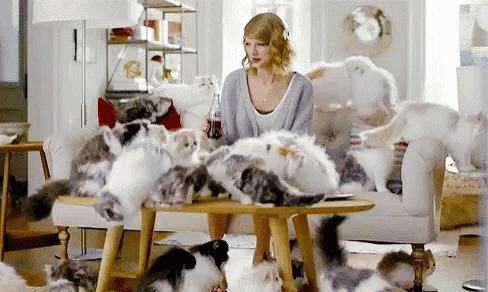 Crazy Cat Lady Taylor Swift GIF. This 488 x 292 animated GIF is part of our simpsons crazy cat lady collection. Related themes include taylor swift. Created…