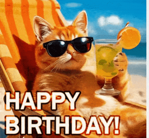 Crazy Cat GIF