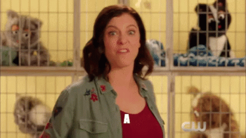 Crazy Ex Girlfriend Fuckton Of Cats GIF
