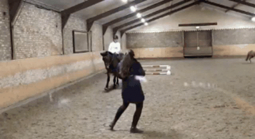 Crazy Horse Choco The Horse GIF. This 498 x 272 animated GIF is part of our stick figure horse collection. Created by TheHorseChoco. View the original…
