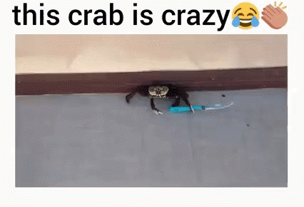 Crazy Knife GIF
