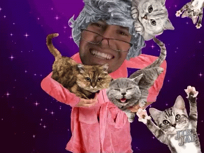 Crazycatlady GIF. This 400 x 300 animated GIF is part of our simpsons crazy cat lady collection. Related themes include cat, crazy, cute. Created by…