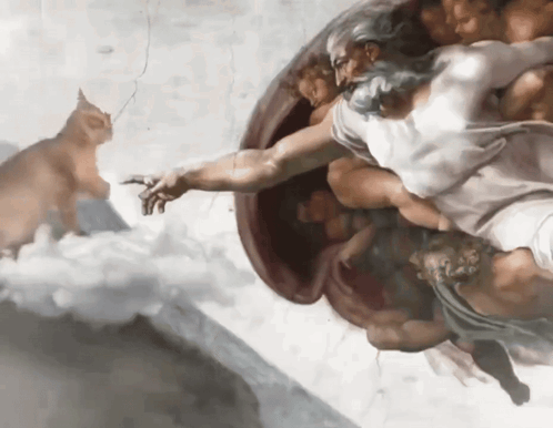 Creation Of Adam Cat GIF