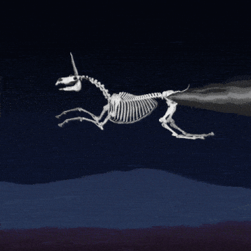 Creatures Funny Animals GIF