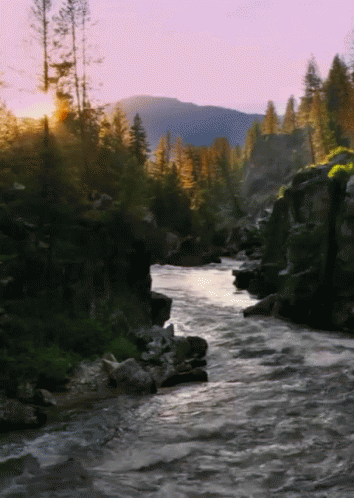Creek Form Http://Headlikeanorange.Tumblr.Com/ GIF. This 354 x 498 animated GIF is part of our gracias por su atencion tumblr collection. Related themes…