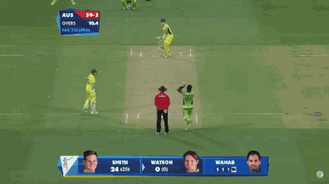 Cricket Bouncer GIF