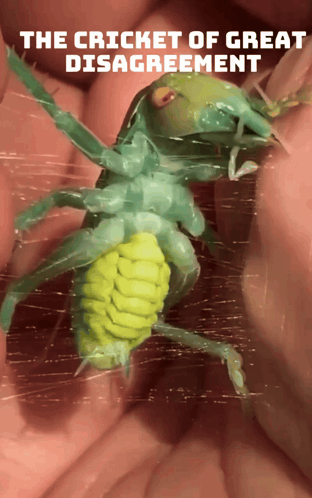 Cricket Disagreement GIF. This 312 x 498 animated GIF is part of our cricket collection. Related themes include no. Created by daxelarne. View the original…