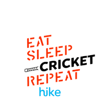 Cricket Fever I Love Cricket Sticker