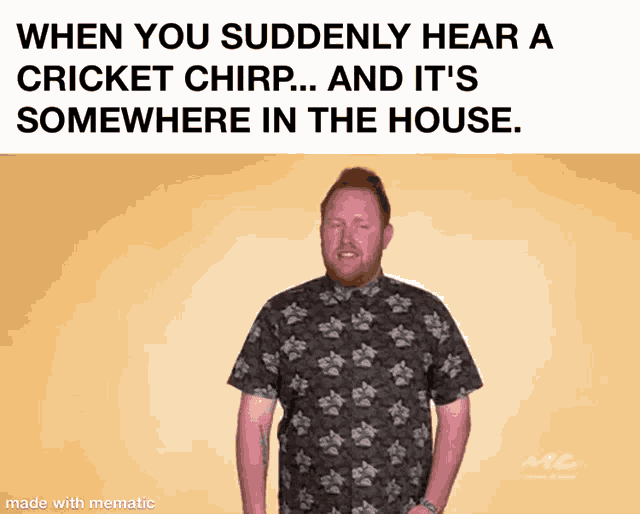 Cricket Funny GIF