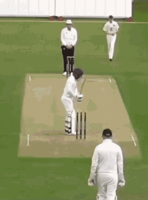 Cricket Stumps GIF