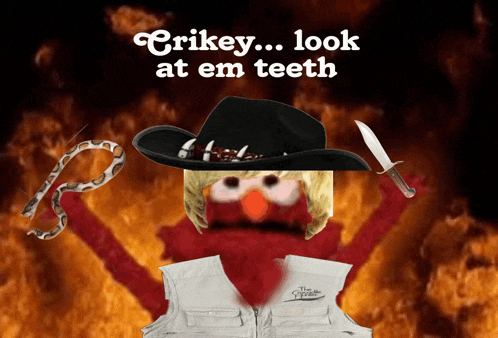 Crikey Crikeymate Meme
