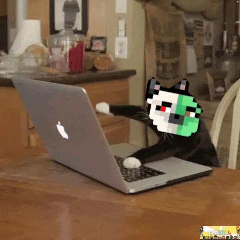 Croginal Hacking GIF