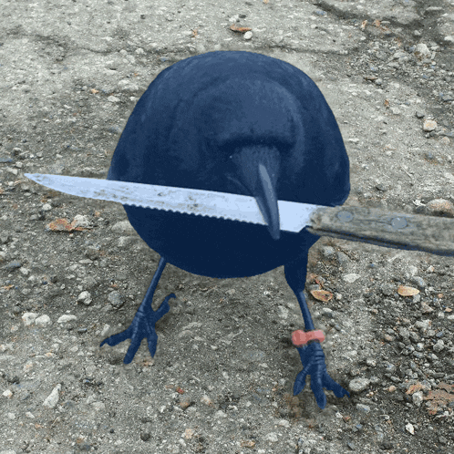 Crow With Knife Caw GIF